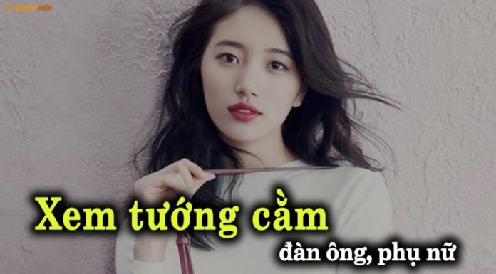 Unlocking Your Destiny: Reading Your Chin’s Fortune – Phoenix Rising or Lifetime’s Servitude?