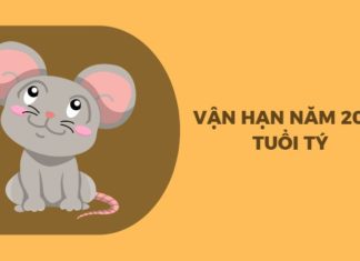 Unleashing Your Zodiac Fortune: 2023 Predictions for the Chinese Zodiac