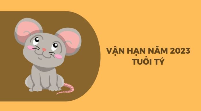 Unleashing Your Zodiac Fortune: 2023 Predictions for the Chinese Zodiac