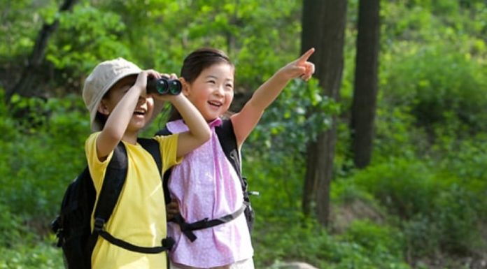 The Modern Parent’s Guide to the Top 5 Child-Rearing Trends