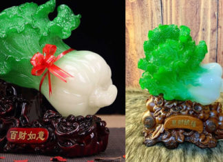 The Power of Cabbage in Feng Shui and How to Harness its Energy