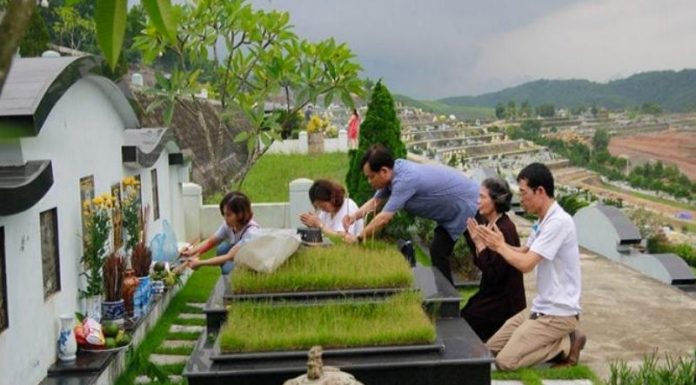 “Prayers for Tomb Sweeping on Vietnamese New Year: Preserving Cultural Traditions”