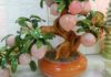 “The Power of the Peach Tree in Feng Shui: Unlocking Prosperity with Strategic Placement.”