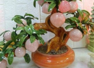 “The Power of the Peach Tree in Feng Shui: Unlocking Prosperity with Strategic Placement.”