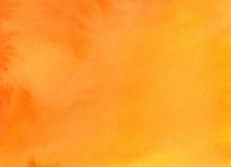 The Significance of Orange: What Does This Color Represent?