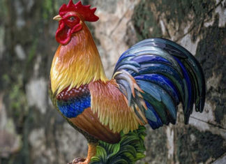 The Feng Shui Significance of the Rooster and What You Need to Know