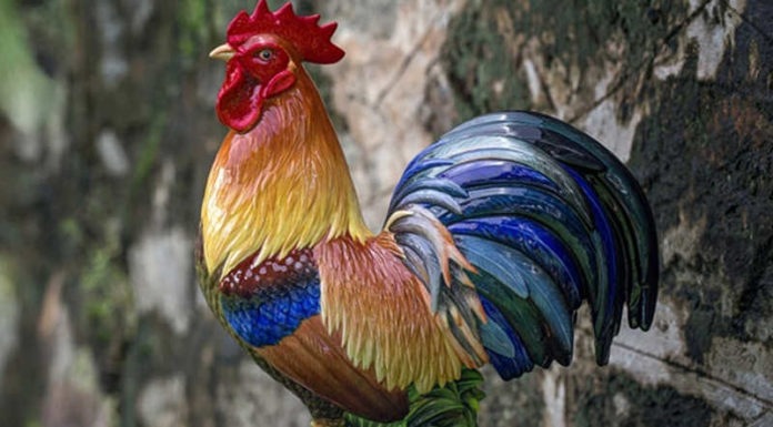 The Feng Shui Significance of the Rooster and What You Need to Know
