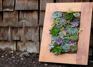 “The Lucky Tree: Nurturing Success and Prosperity.”