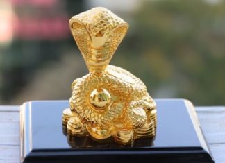 The Mystical Serpent: Unveiling the Ancient Secrets of Feng Shui