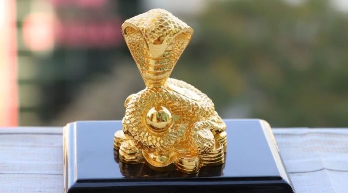 The Mystical Serpent: Unveiling the Ancient Secrets of Feng Shui