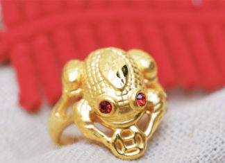 The Power of the Money-Gobbling Toad Ring: Unlocking Prosperity with the Right Gesture