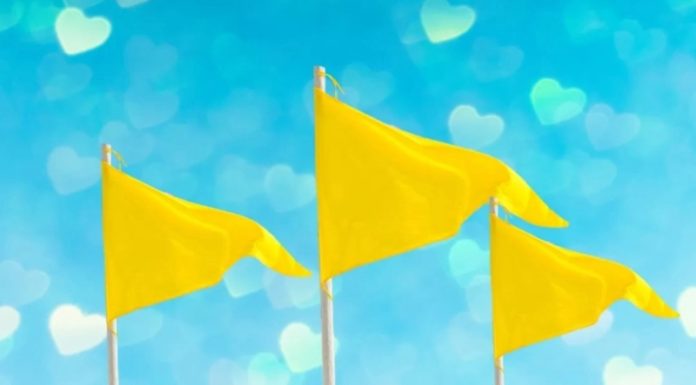 What is a Yellow Flag? Understanding the Yellow Flags in Love and Relationships