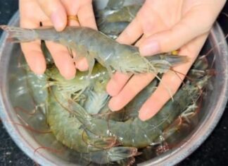 The Secret to Keeping Shrimp Fresh for a Month: A Guide to Maximizing Shrimp Shelf Life