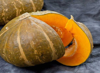 How Many Calories Are in a Pumpkin? Can Pumpkin Help With Weight Gain or Loss?