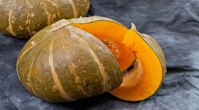 How Many Calories Are in a Pumpkin? Can Pumpkin Help With Weight Gain or Loss?
