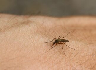 10 Amazing Baby Oil Hacks You Need to Know