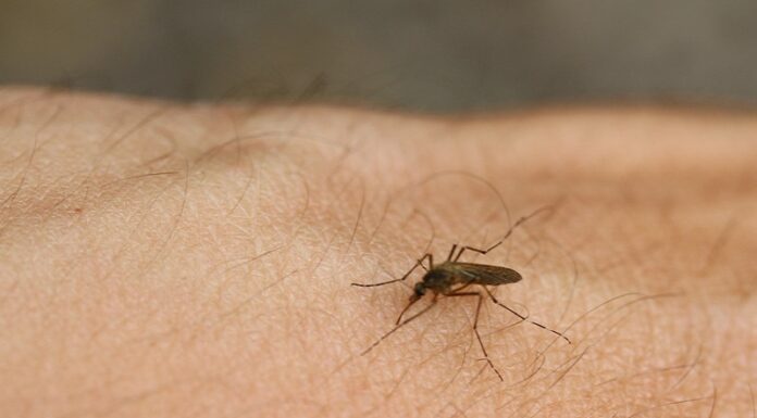 10 Amazing Baby Oil Hacks You Need to Know