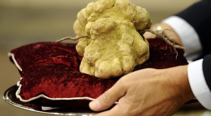 The World’s 10 Most Expensive Delicacies: Exclusive Indulgences for the Elite