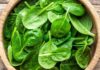 Is Purslane High in Calories? Does Eating Purslane Make You Fat?