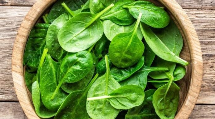 Is Purslane High in Calories? Does Eating Purslane Make You Fat?