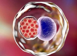 “The 11 Most Common Sexually Transmitted Infections: What You Need to Know”