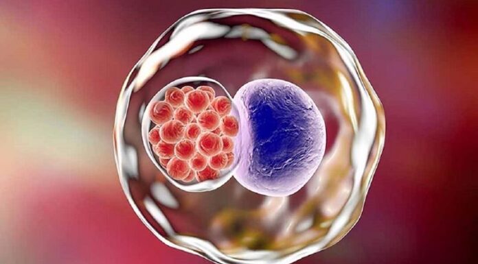 “The 11 Most Common Sexually Transmitted Infections: What You Need to Know”