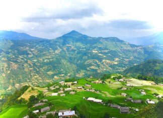 The Ultimate Guide to Homestays: Experience the Breathtaking Rice Terraces of Hoang Su Phi