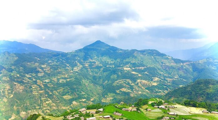 The Ultimate Guide to Homestays: Experience the Breathtaking Rice Terraces of Hoang Su Phi