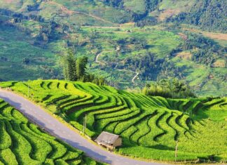 The Magical Y Tý View: A Budget-Friendly Homestay with a Unique Twist