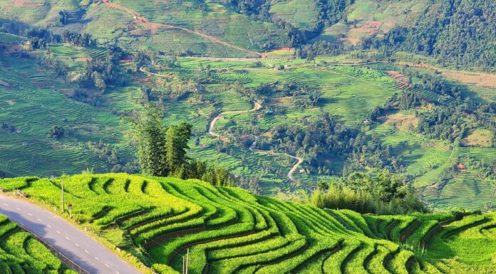 The Magical Y Tý View: A Budget-Friendly Homestay with a Unique Twist