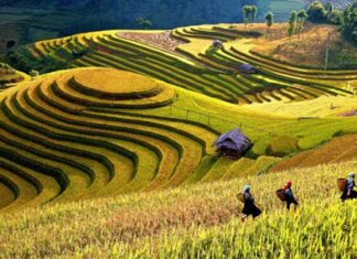 5 Breathtaking Spots in Mù Cang Chải You Need to Visit This Fall