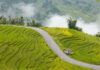 The Golden Harvest Trail: A Breathtaking Trek in Lao Cai