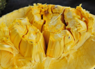 The 3 Don’ts of Eating Jackfruit: A Tasty Treat with a Tricky Twist