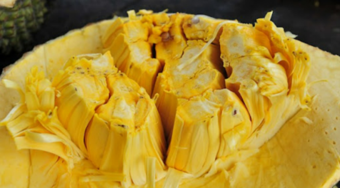 The 3 Don’ts of Eating Jackfruit: A Tasty Treat with a Tricky Twist
