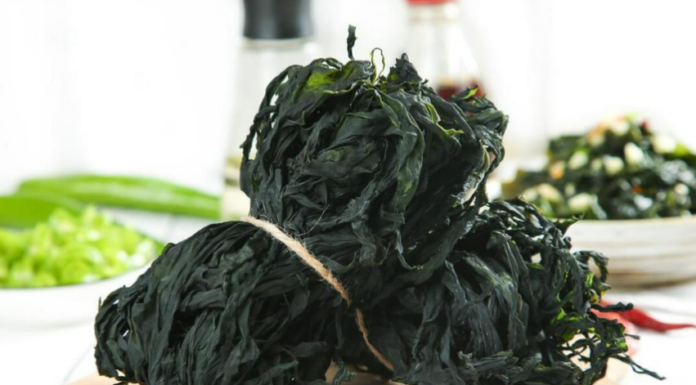 “The Dirtiest Vegetable in the Market is Also a Natural Calcium Powerhouse: Nature’s Bone-Strengthening Wonder”