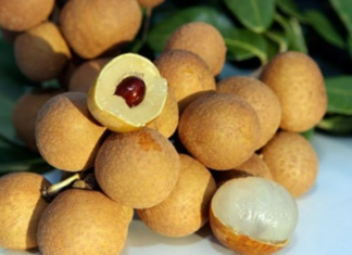 “Three Don’ts” When Eating Longan: A Guide to Avoid Potential Harm