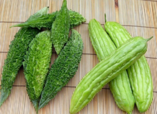 “Bitter Relief: Nature’s Own Panacea”.