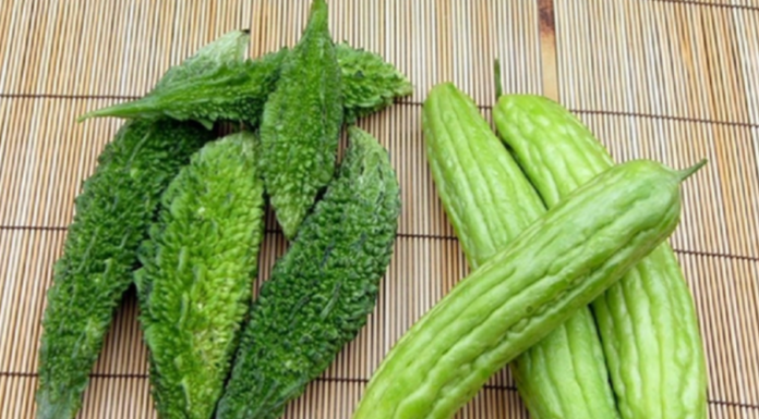 “Bitter Relief: Nature’s Own Panacea”.