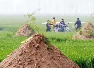 The Secrets to Ancestral Wealth: Unveiling the Ancient Wisdom of Grave Orientation for Prosperity