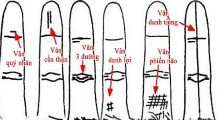 The Ring Finger: 5 Signs That Foretell a Future of Wealth and Prosperity for Men and Women Alike