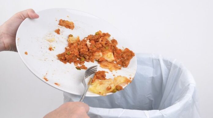 The Magic of a Broken Rice Cooker: 4 Surprising Uses You Never Knew