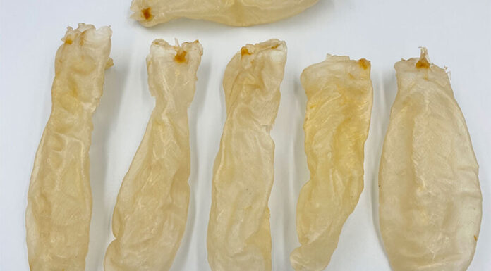 The 5 Most Nutritious Parts of a Fish That You May Be Throwing Away