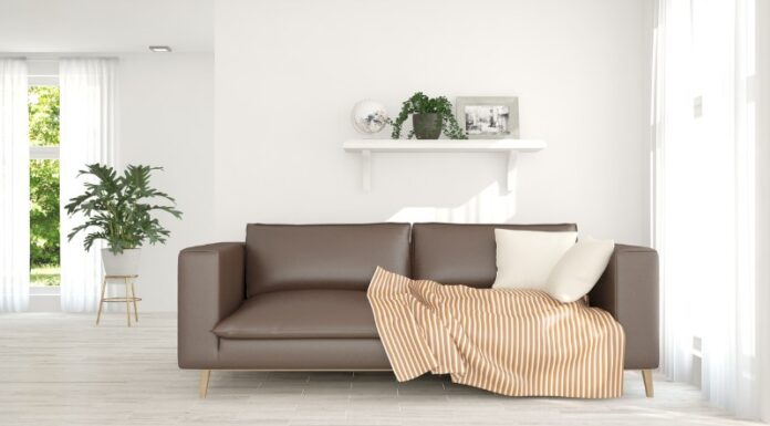 The 5 Types of Sofas You Should Avoid Buying for Your Home
