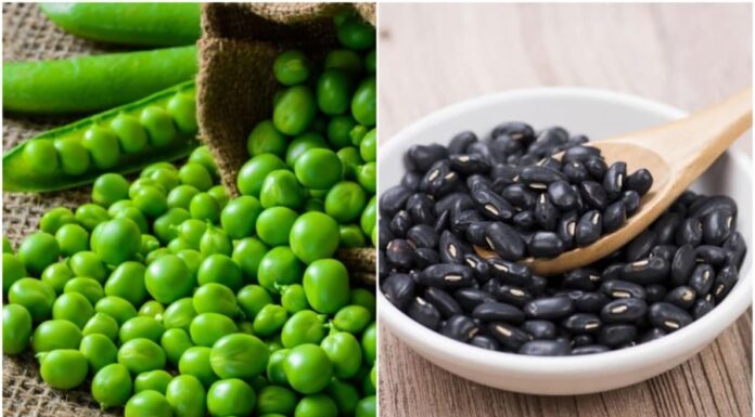 5 Types of Beans That Are Super Healthy: A Nutritional Powerhouse You Shouldn’t Miss
