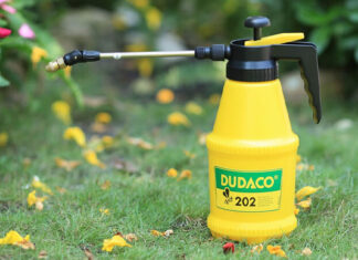 6 Tips to Get Rid of Bees Safely and Effectively