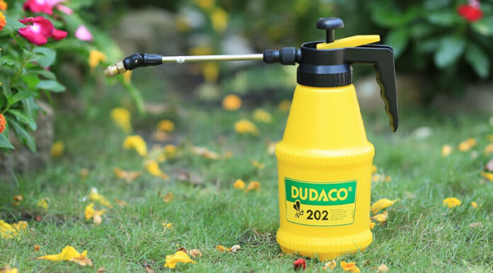 6 Tips to Get Rid of Bees Safely and Effectively