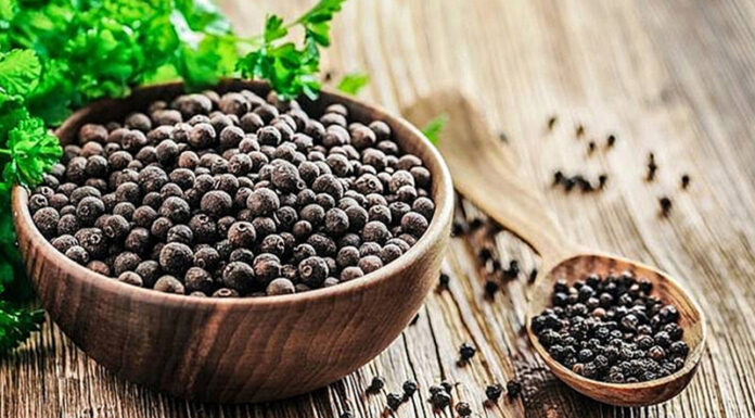 17 Surefire Ways to Get Rid of Ants in Your Home Using Kitchen Ingredients