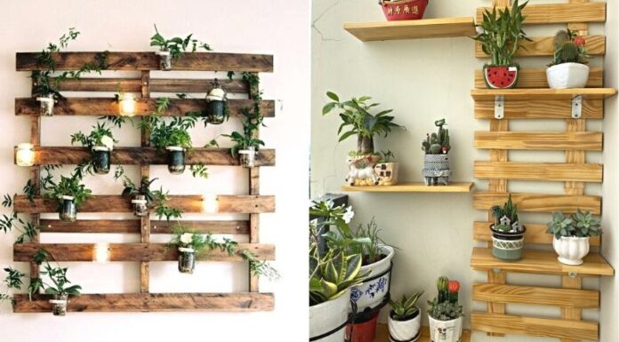 7 Creative Ideas for Wall-Hanging Gardens