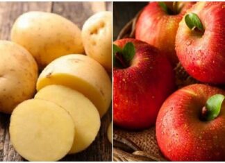 8 Ingenious Ways to Keep Bread Fresh for a Month: Crisp and Crusty, Just Like the Baker Intended