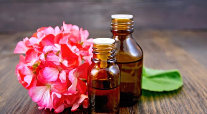 8 Natural Ingredients to Keep Your Clothes Odor-Free and Mold-Resistant During Rainy Days